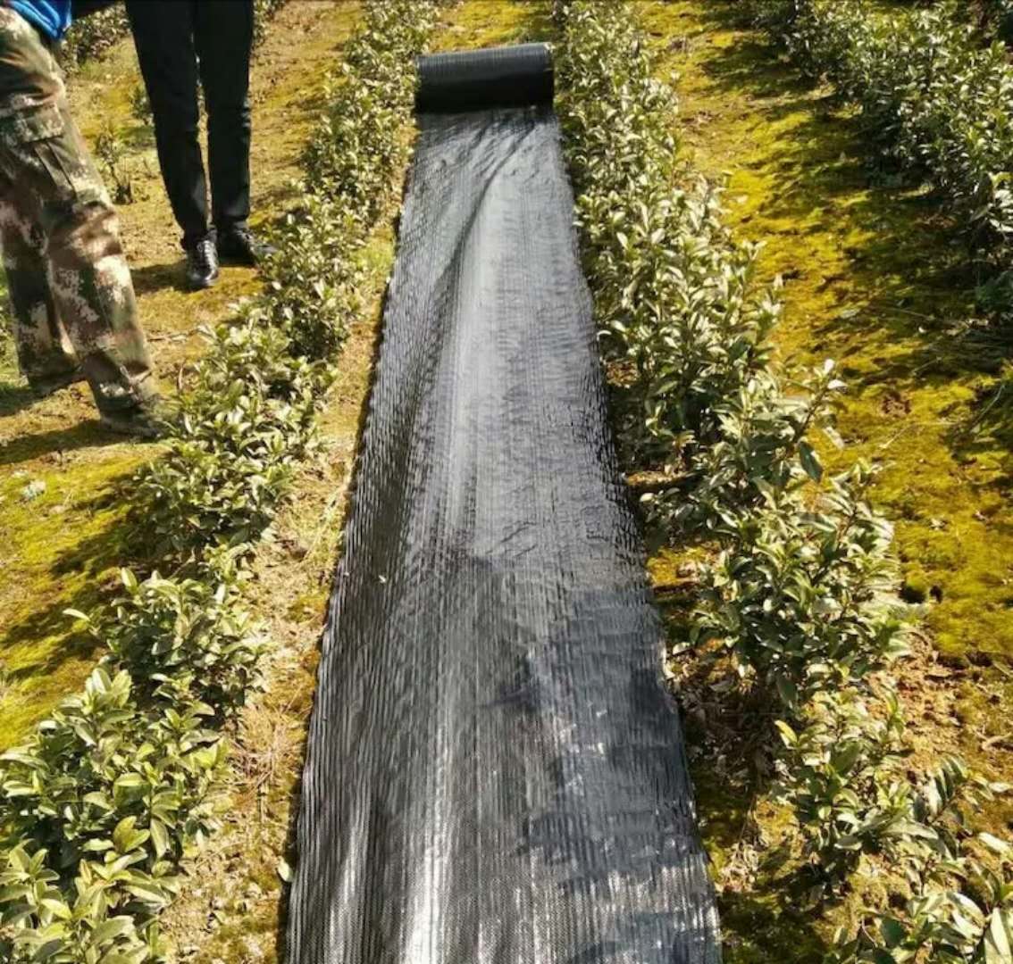 防草布、除草布